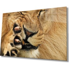 Kırmızı Ayı Aslan Cam Tablo
