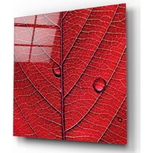 Kırmızı Ayı Yaprak Cam Tablo