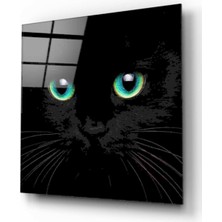 Kırmızı Ayı Kedi Cam Tablo