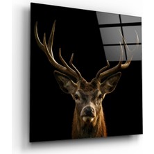 Kırmızı Ayı Geyik Cam Tablo