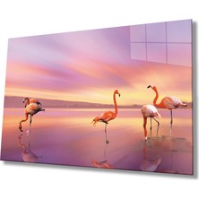 Kırmızı Ayı Flamingo Hayvan