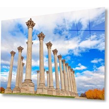 Kırmızı Ayı Manzara Cam Tablo