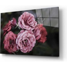 Kırmızı Ayı Doğa Cam Tablo