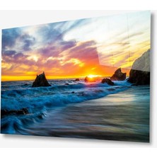 Kırmızı Ayı Doğa Cam Tablo