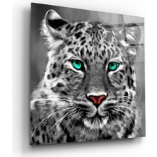 Kırmızı Ayı Leopar Cam Tablo