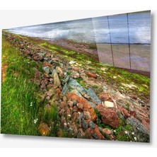 Kırmızı Ayı Doğa Cam Tablo