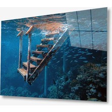 Kırmızı Ayı Doğa Cam Tablo