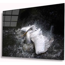 Kırmızı Ayı Pelikan Cam Tablo