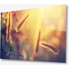 Kırmızı Ayı Doğa Cam Tablo