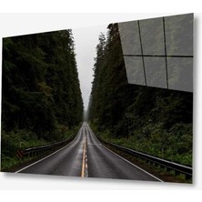 Kırmızı Ayı Doğa Cam Tablo