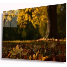 Kırmızı Ayı Sonbahar Cam Tablo