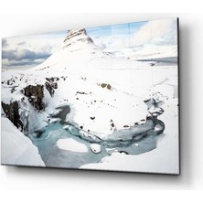 Kırmızı Ayı Doğa Tablo