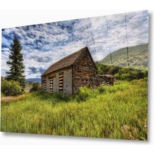 Kırmızı Ayı Doğa Cam Tablo