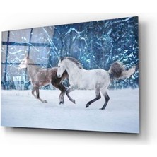 Kırmızı Ayı Atlar Cam Tablo