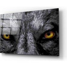 Kırmızı Ayı Kurt Cam Tablo