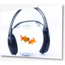 Kırmızı Ayı Cam Tablo