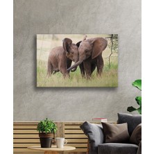 Kırmızı Ayı Filler Cam Tablo