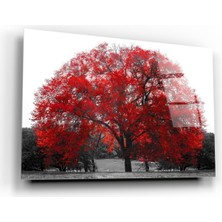 Kırmızı Ayı Ağaç Cam Tablo