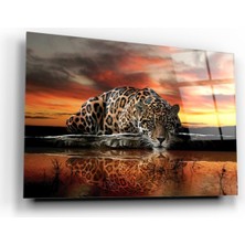 Kırmızı Ayı Kaplan Cam Tablo