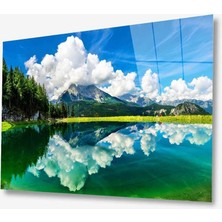 Kırmızı Ayı Doğa Cam Tablo