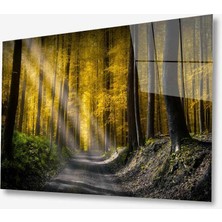 Kırmızı Ayı Doğa Cam Tablo