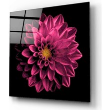 Kırmızı Ayı Çiçek Cam Tablo