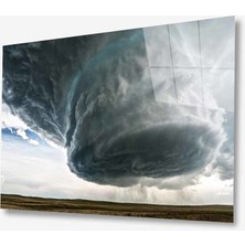 Kırmızı Ayı Doğa Cam Tablo