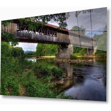 Kırmızı Ayı Doğa Cam Tablo