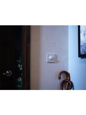 Philips Hue Smart Button