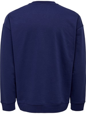 Only & Sons O Yaka Mavi Erkek Sweatshirt 22026422_ONSPEANUTS Rlx Crew Neck S