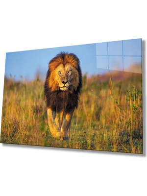 Kırmızı Ayı Aslan Cam Tablo