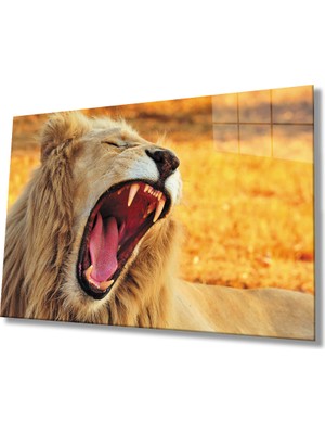 Kırmızı Ayı Aslan Cam Tablo