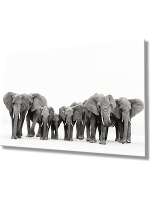 Kırmızı Ayı Filler Cam Tablo