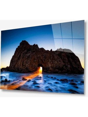 Kırmızı Ayı Doğa Cam Tablo