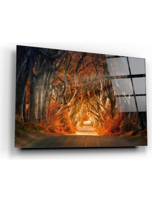 Kırmızı Ayı Orman Cam Tablo