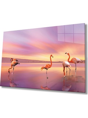 Kırmızı Ayı Flamingo Hayvan