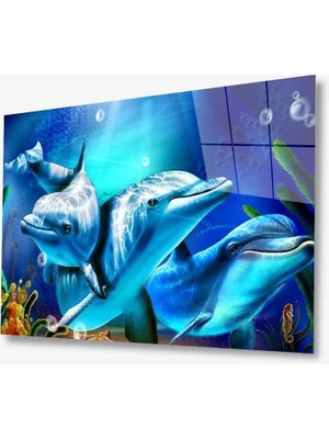 Kırmızı Ayı Sualtı Canlıları