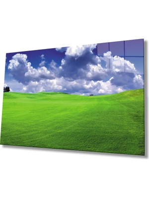 Kırmızı Ayı Mavi Yeşil Manzara