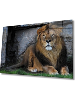 Kırmızı Ayı Aslan Cam Tablo
