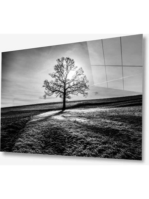 Kırmızı Ayı Doğa Cam Tablo