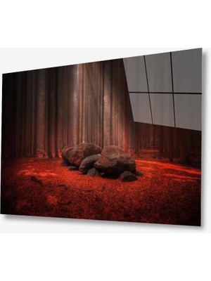 Kırmızı Ayı Doğa Cam Tablo