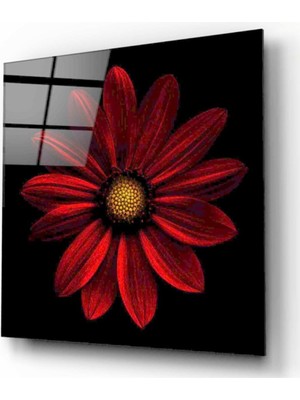 Kırmızı Ayı Çiçek Cam Tablo