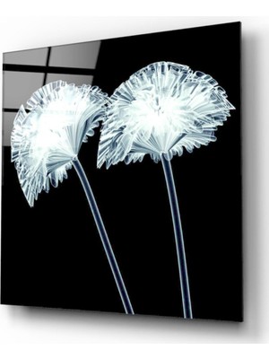 Kırmızı Ayı Desen Cam Tablo