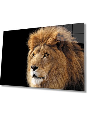 Kırmızı Ayı Aslan Cam Tablo