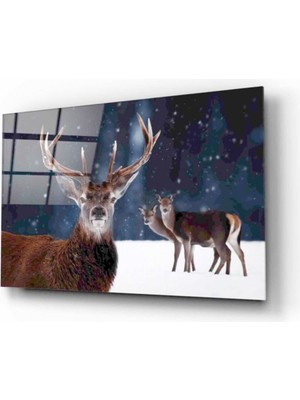 Kırmızı Ayı Geyik Cam Tablo