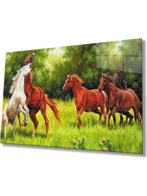 Kırmızı Ayı Suluboya  Atlar