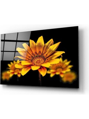 Kırmızı Ayı Çiçek Cam Tablo