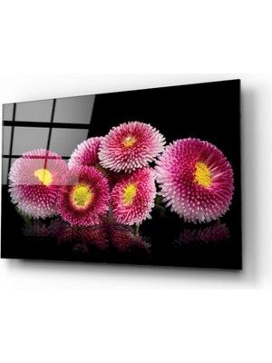 Kırmızı Ayı Çiçek Cam Tablo