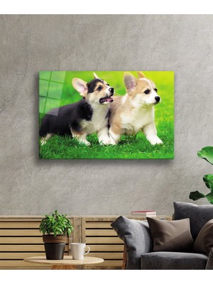 Kırmızı Ayı Köpekler Cam Tablo