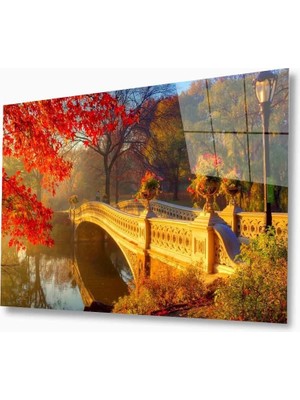 Kırmızı Ayı Doğa Cam Tablo